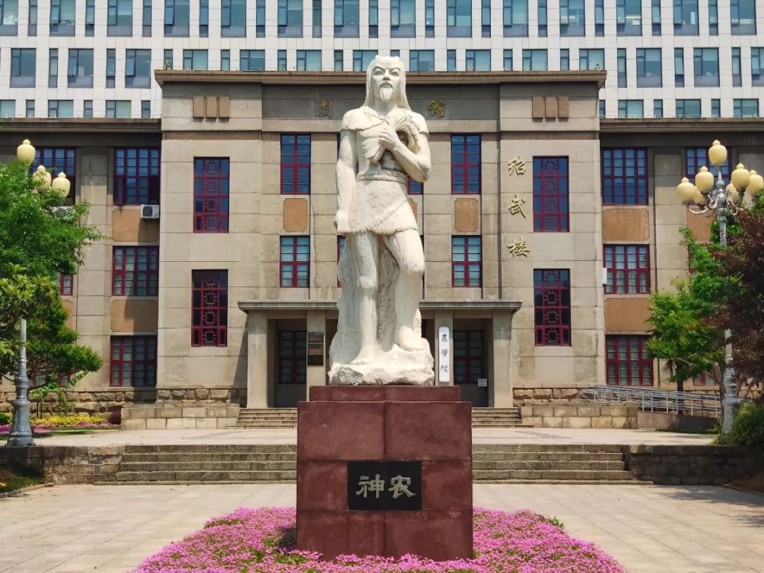 山东农业大学西礼堂图片