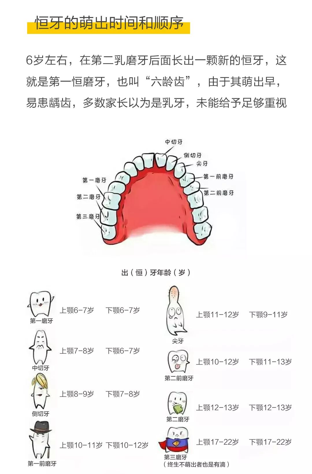 宝妈必看!宝宝牙齿发育的终极"小秘密"