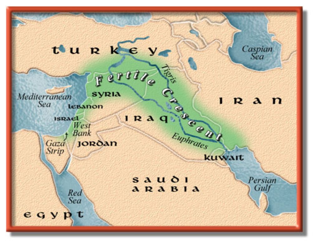 美索不达米亚平原又是  fertile crescent  肥沃的半月 )的一部分