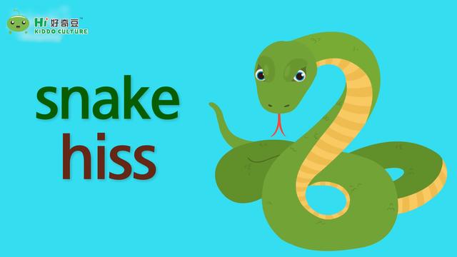 镜头对准小青蛇snake发出的声音出嘶嘶声是"hiss"a snake makes some
