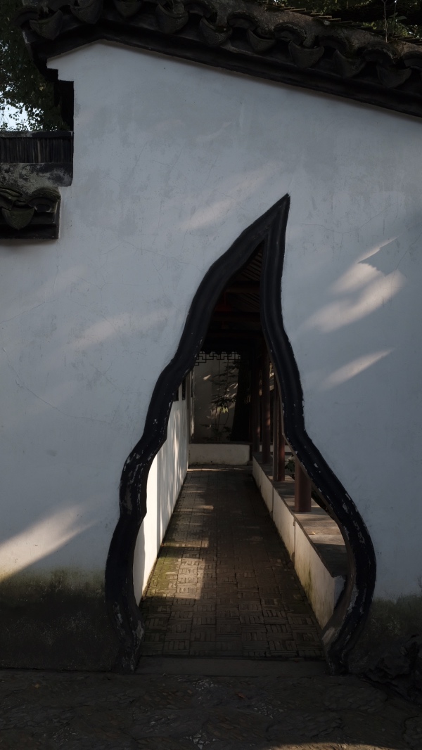 跟着建筑师躲到园子里纳凉