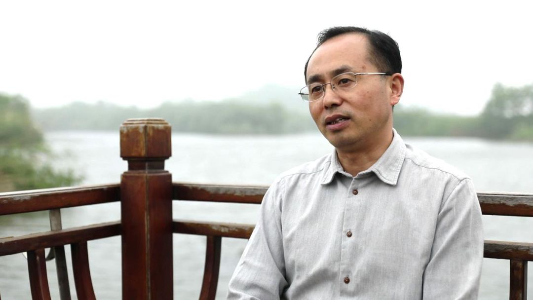 他让国宝朱鹮在野外安家_邱国强