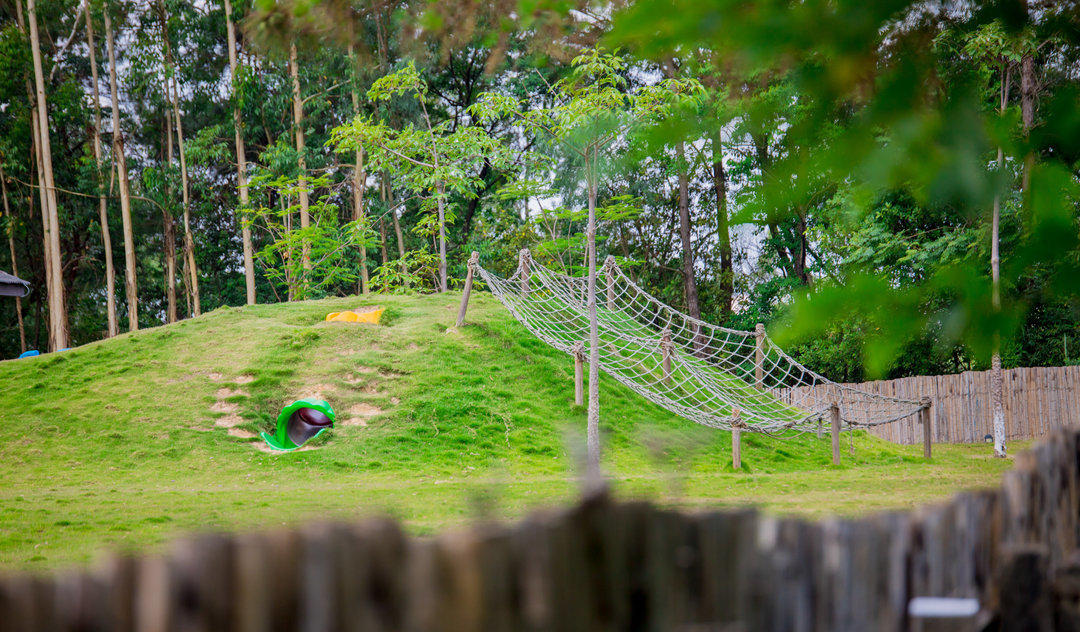 森林教育丨大自然给孩子们带来的创造力