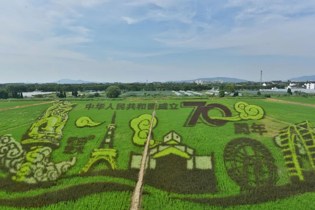 以稻为笔以梦为马带你亲临稻梦空间