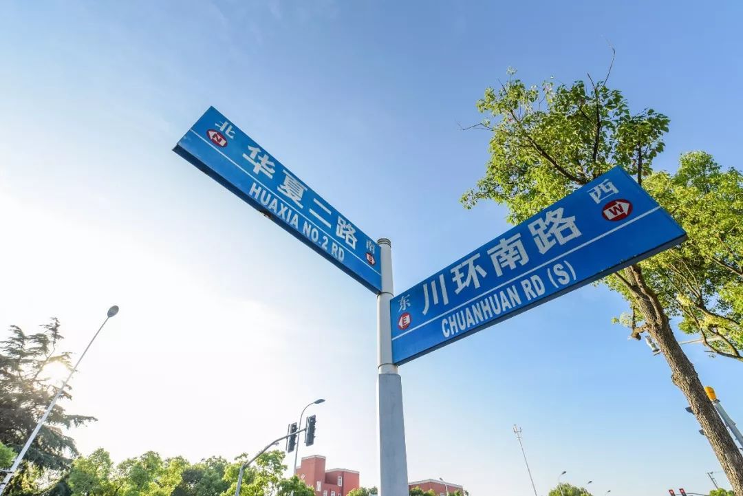 川沙公园南桥路图片