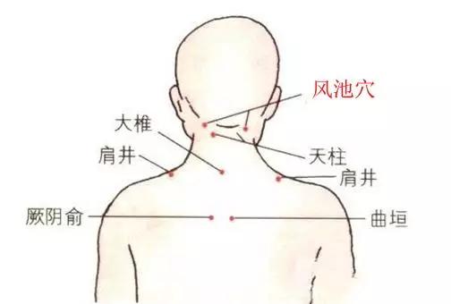 颈部,腋下,腹股沟淋巴排毒手法_按摩
