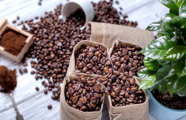 25%也门豆(异国情调的咖啡味)25%埃塞俄比亚哈拉豆(巧克力味)50%印尼