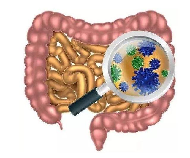 肠道发生病变身体会出现3多2黑有一个最好查下肠镜