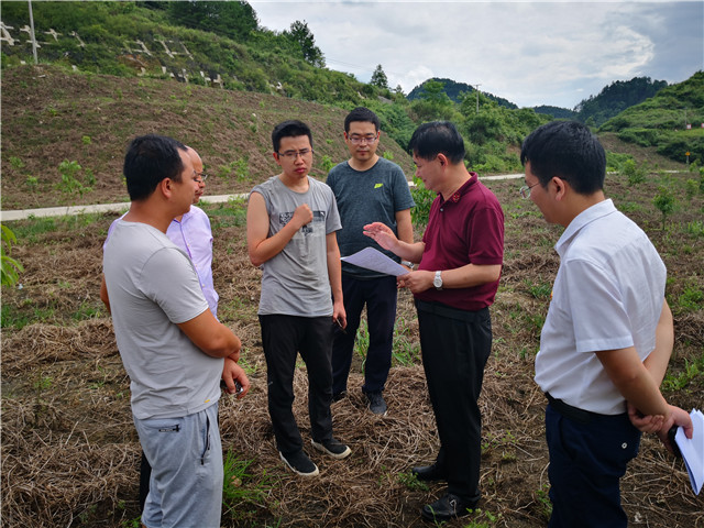 州林业局局长唐军到独山县调研指导夏秋决战和国务院大督查迎检工作