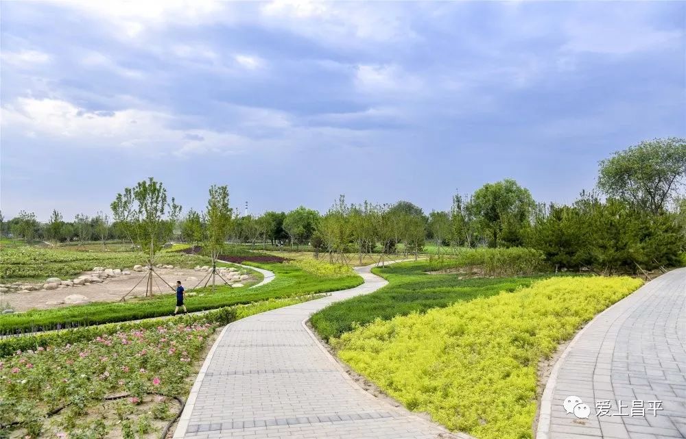 这个绝美休闲公园夏日美翻了!  67