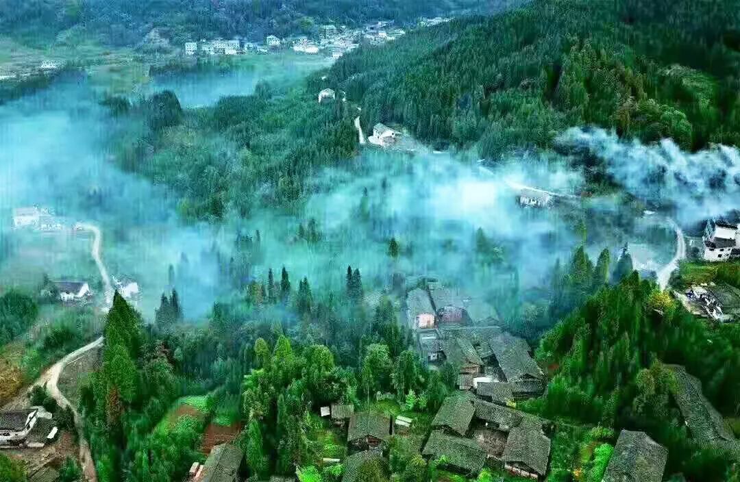 今晚6点半洪雅复兴村盛大的青羌民俗文化表演锅庄篝火邀你一起嗨起来