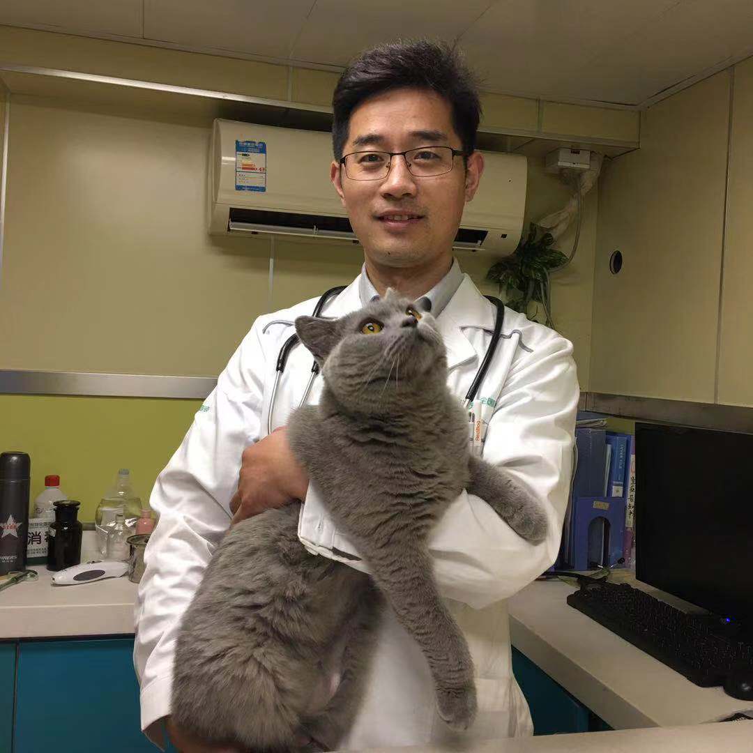 瑞派宠物医生:举重若轻才是大师风范!