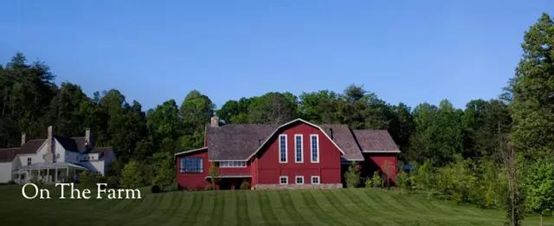 美国黑莓农场,何以成为全美第一的野奢乡村度假农场?