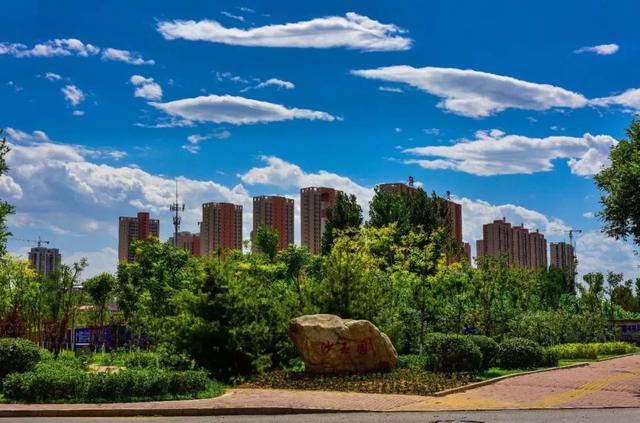 创建森林城市,建设美好家园,离不开每个市民的大力支持,让我们一起