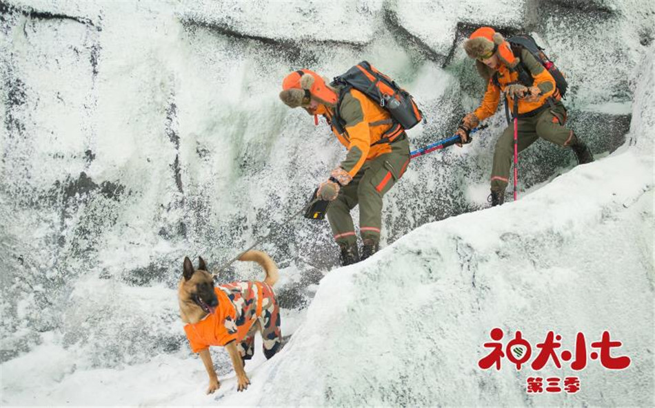 神犬小七3步枪围剿行动壮烈牺牲救援队陷入哀痛