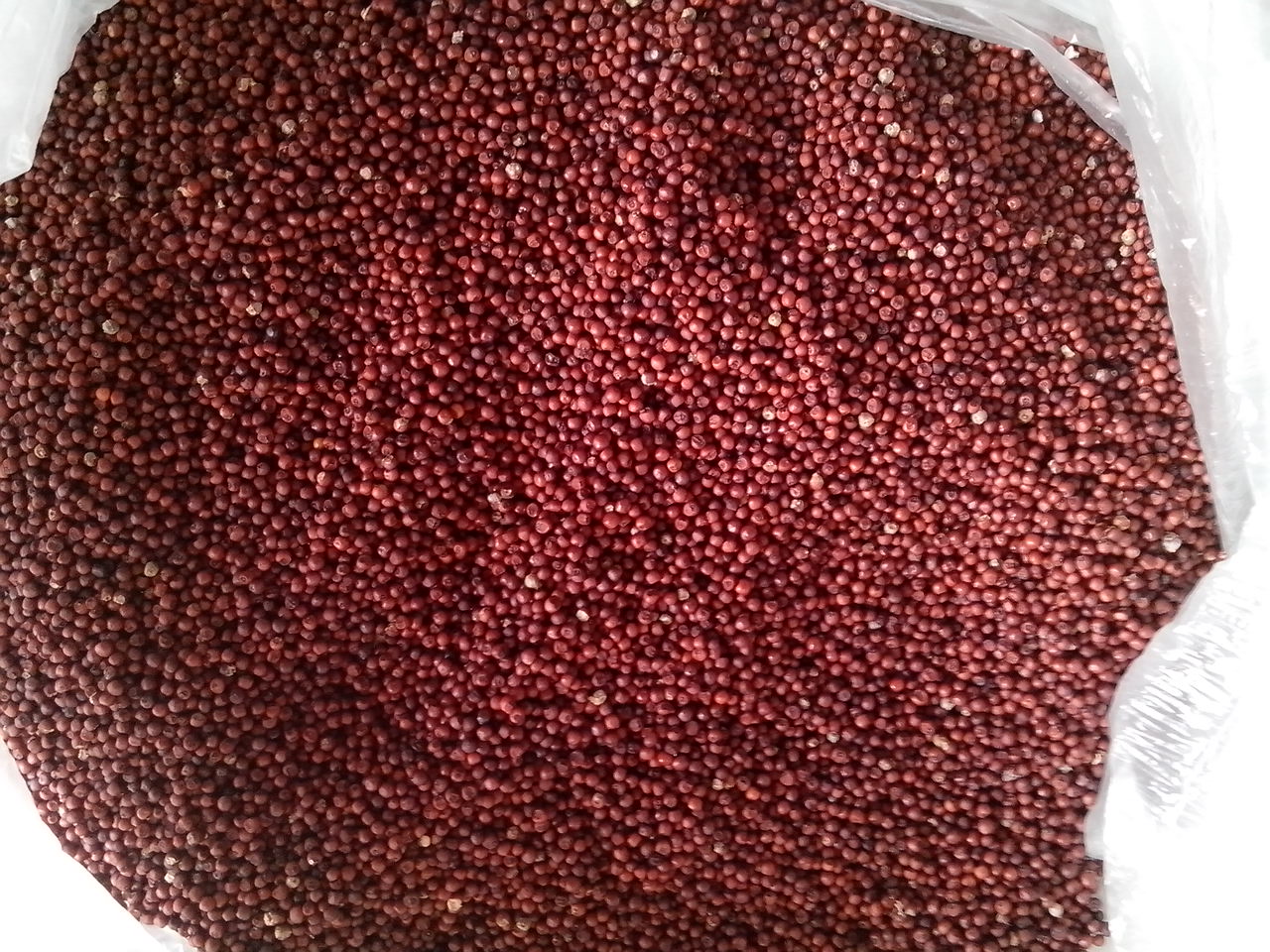 38元/斤.红小米具有清热解渴,健脾和胃,补益虚损,和胃安眠等功效.