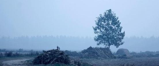 赵桥村顾湘乡村并不都是淳朴的有讨厌而势利的邻居