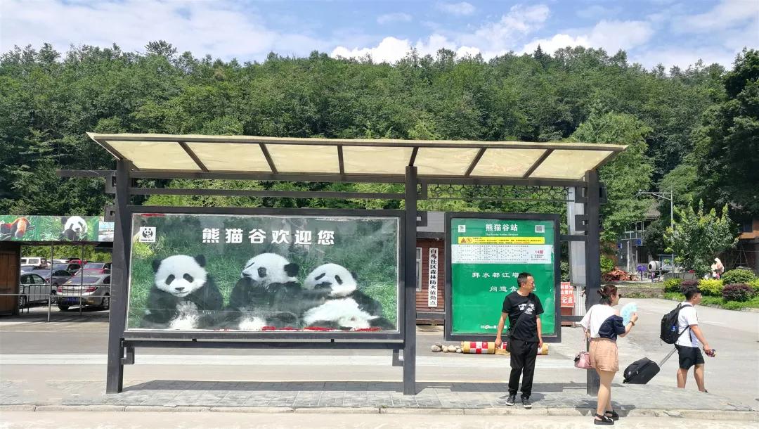 助推全域旅游都江堰14路公交延伸运行至熊猫谷