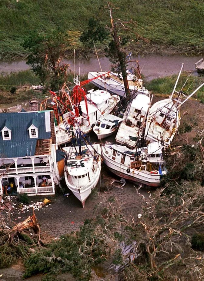 飓风雨果过后雨果是在一个夜晚到来的,关于这次灾难,始终有一幕在我的