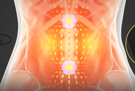 通畅经络,提升新陈代谢帮身体排出油脂,湿气,毒素药效会通过肚脐快速