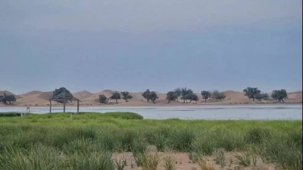 国内藏着一个最美沙漠越野车冲沙骆驼骑行沙漠轰趴