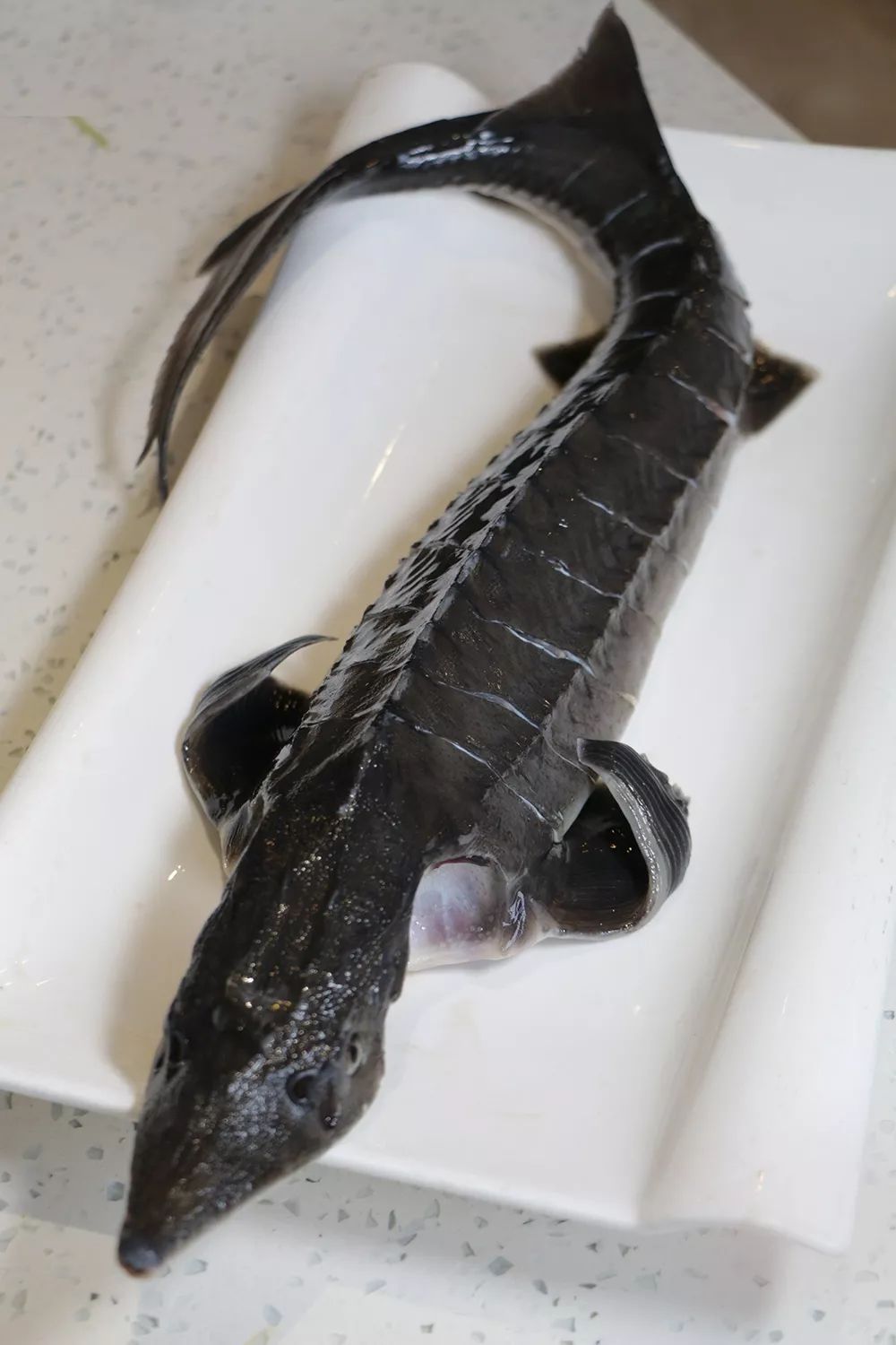 劲爆乐山自助鱼399元吃出200元高级感还送10份霸王餐