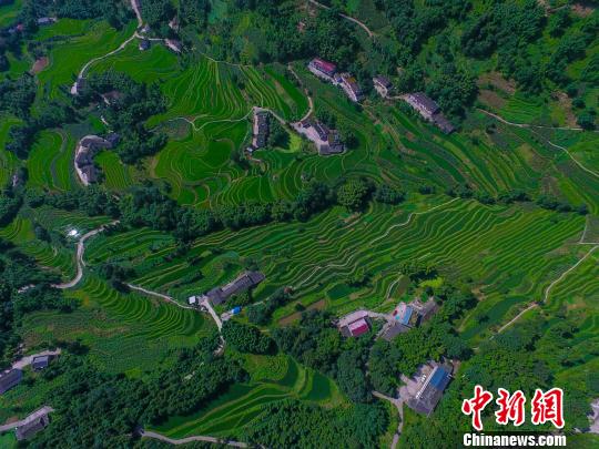 四川省泸州市叙永县叙永镇百花村的万亩丹山梯田. 李欣 摄