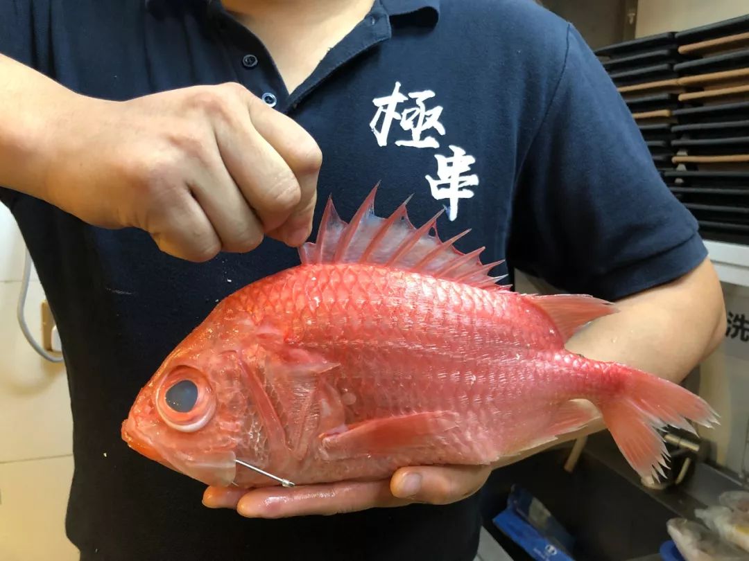 将军甲△刺身三点福利a发送"极串"到后台获取极串日料炉端烧100元代