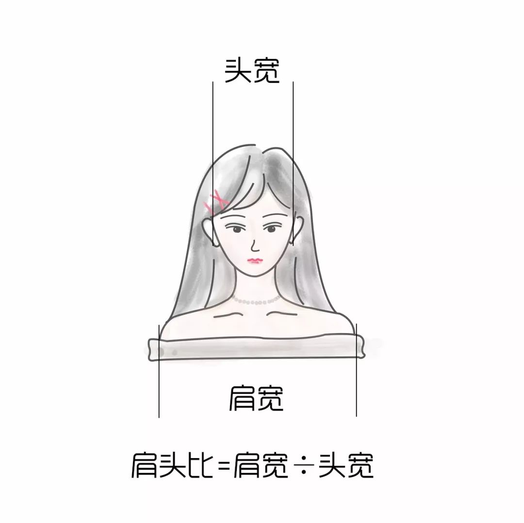 其实,肩宽有个衡量小指标——肩头比,就是用肩宽除以头宽(不把两侧