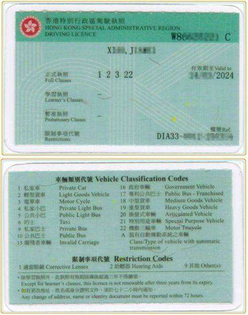国际驾驶证样本图片