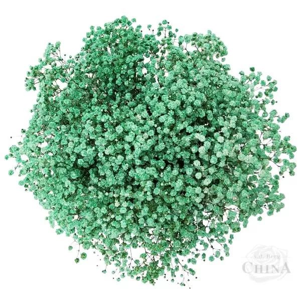 9号:沁爽薄荷绿// 满天星 浅红方德平台有售 //8号:冰淇淋浅红// 满天