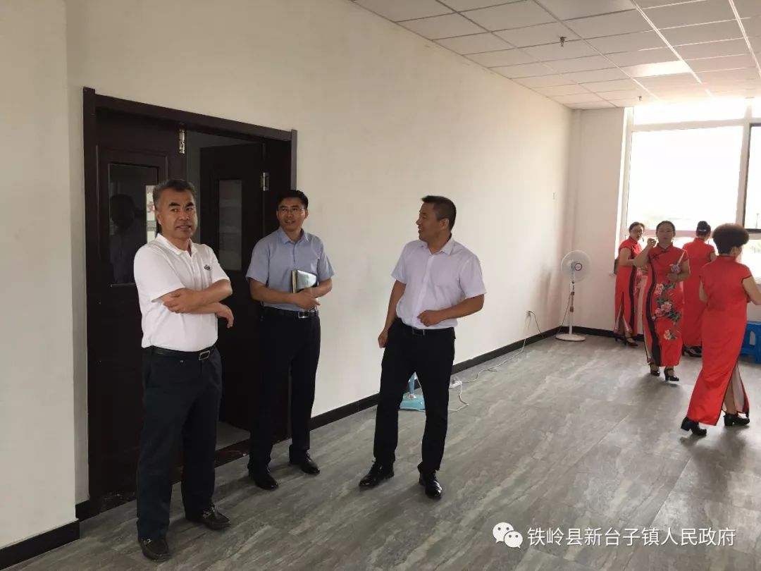 铁岭县新时代文明实践工作检查小组莅临新台子镇检查工作
