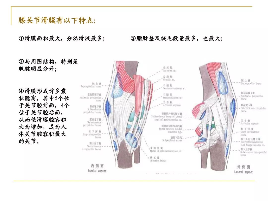 膝關節骨性關節炎的中醫綜合治療