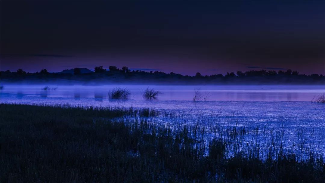 《宁静仲夏夜》《收获的季节》《相守》
