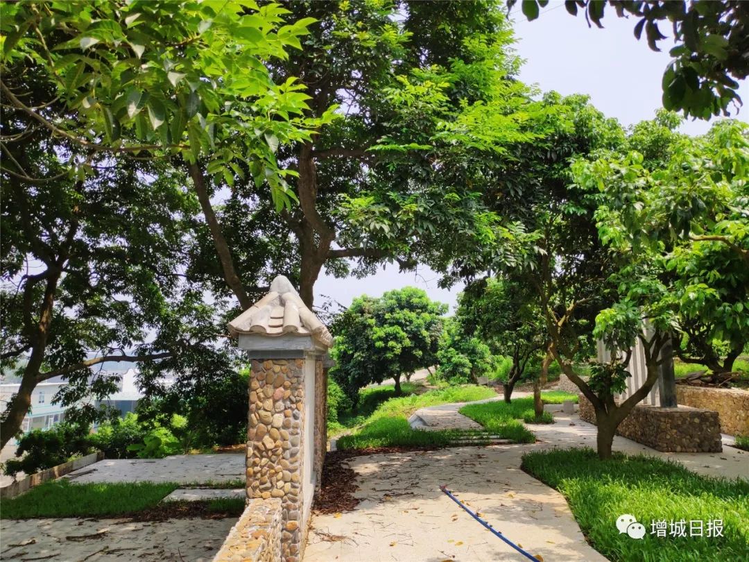 仙村,未来可期!_增城