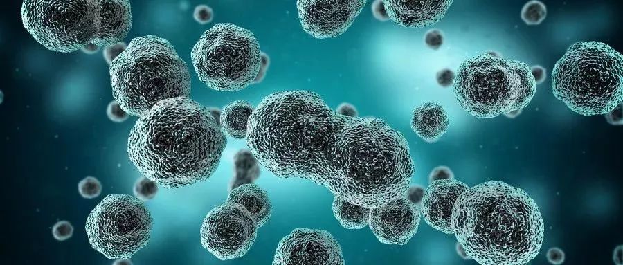 癌细胞的自述我是可以被预防和治愈的