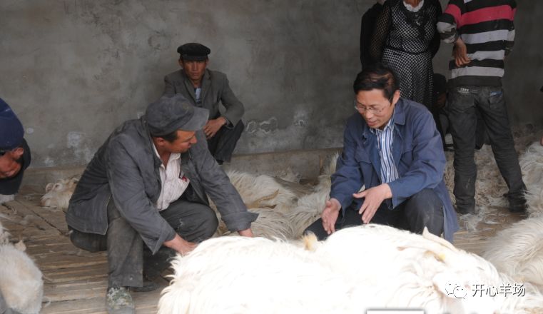 33年"蹲"在羊圈 一个身上沾满"羊粪味"的畜牧专家_张富全