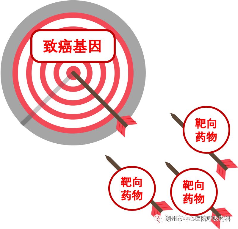 听医学大咖谈肺癌的靶向治疗