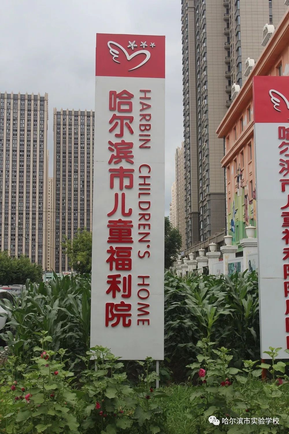 哈新区实验书院在线关爱孤残儿童雏鹰在行动记哈尔滨市实验学校24中队