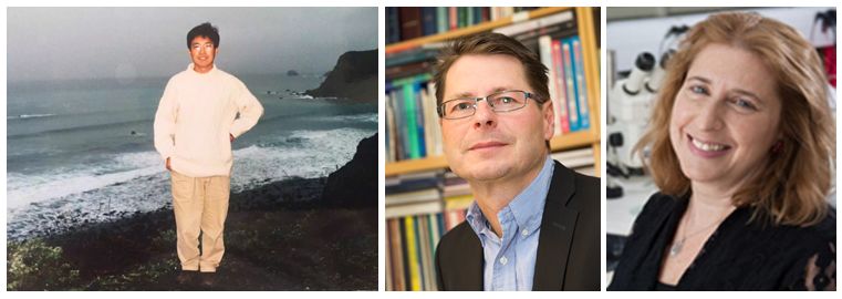 医前沿施福东教授在lancetnature对神经免疫领域的系统揭示