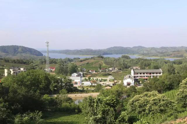 "茶王之乡"浉河港镇黑龙潭风景区,信阳毛尖原产地,核心区,德茗茶庄园