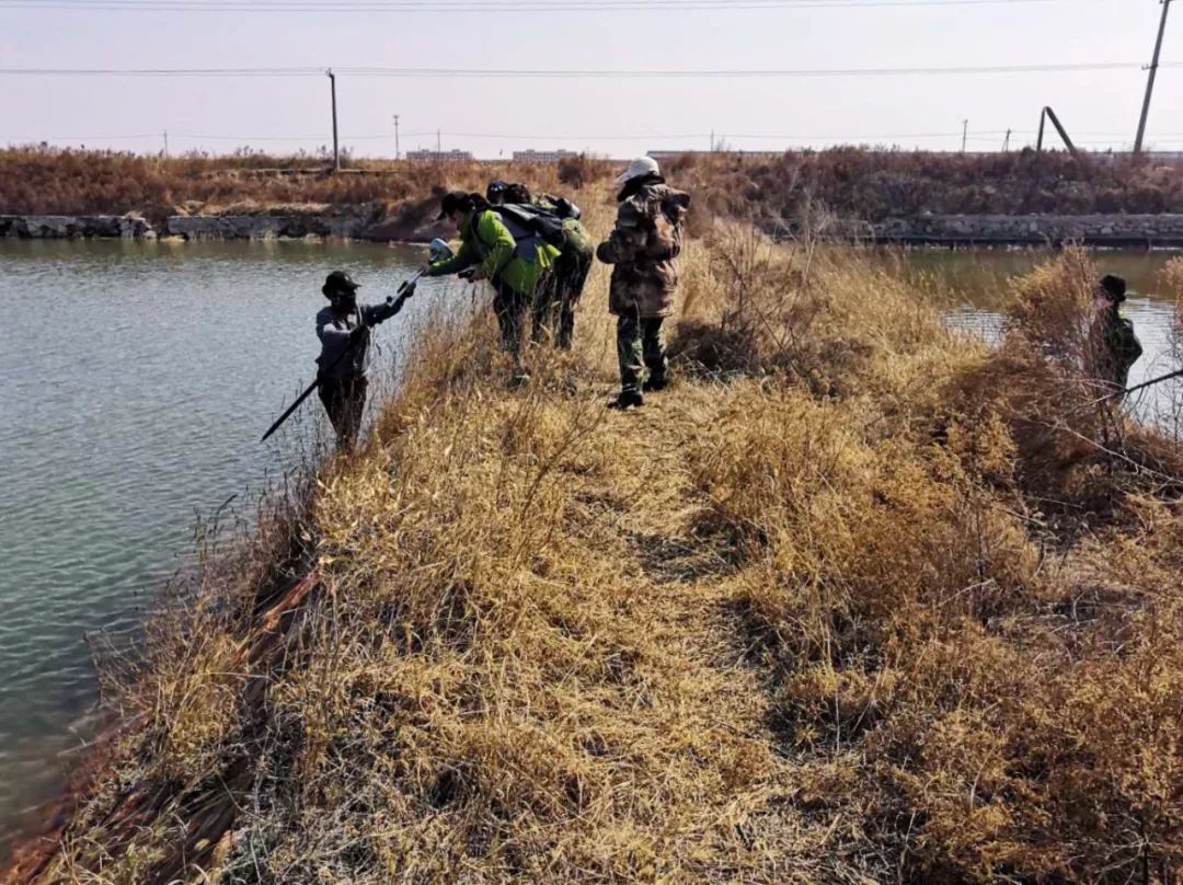 目前,她们正积极奋战在潍坊滨海盐碱地施工一线,为生态文明建设和美丽