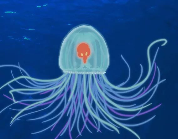 千奇百怪水母大赏来袭你的墙头是哪一个