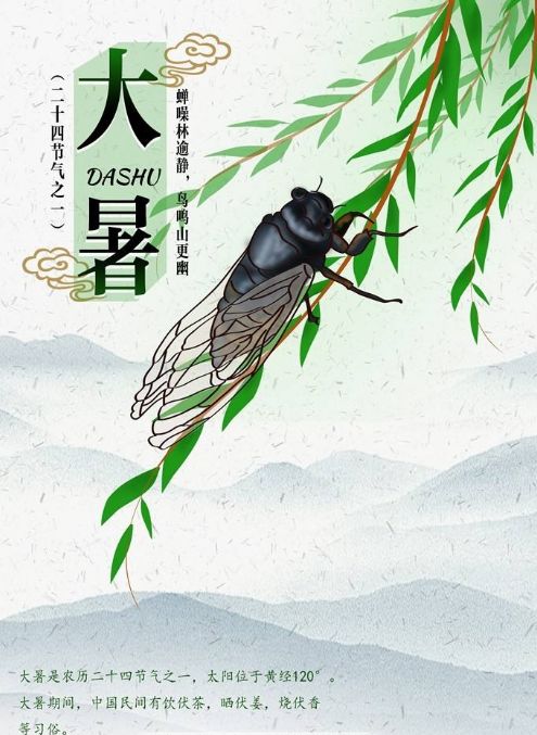 【二十四节气】大暑
