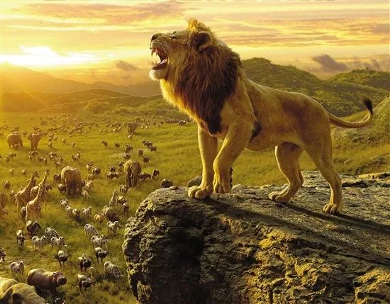 所谓领袖,像百兽之王狮子一样,他的外形和内容均具有一定的王者风范.