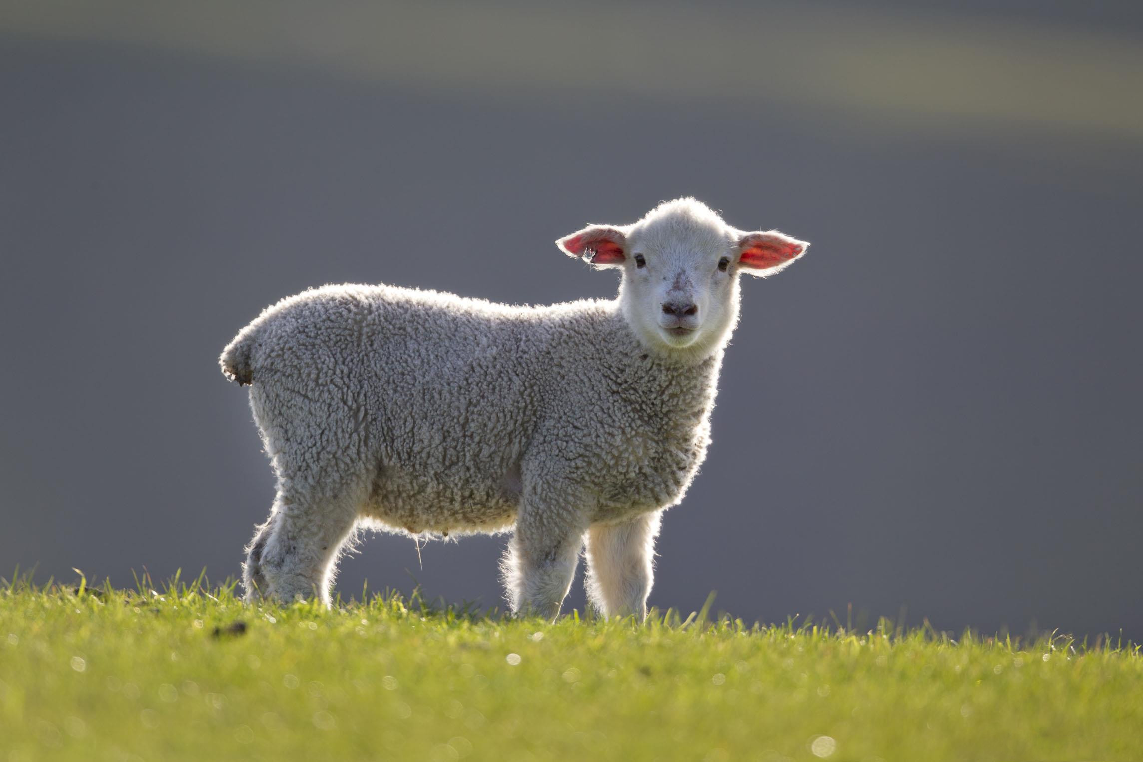 还有一天就到周末今天应该怎么过小易告诉你