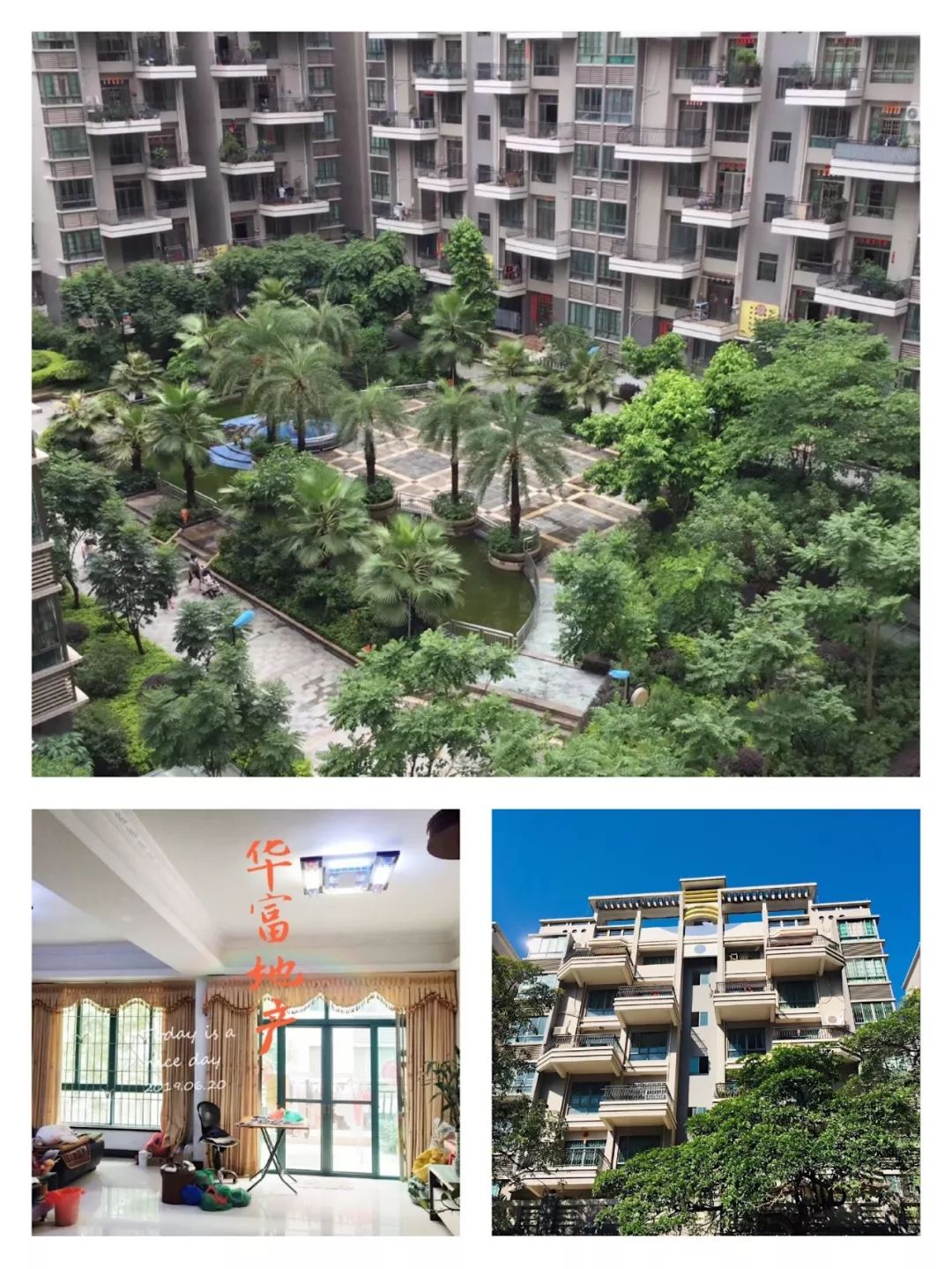 2华富地产最后几天,最后几天,最后几天出售,出售,凌丰紫荆雅苑单价