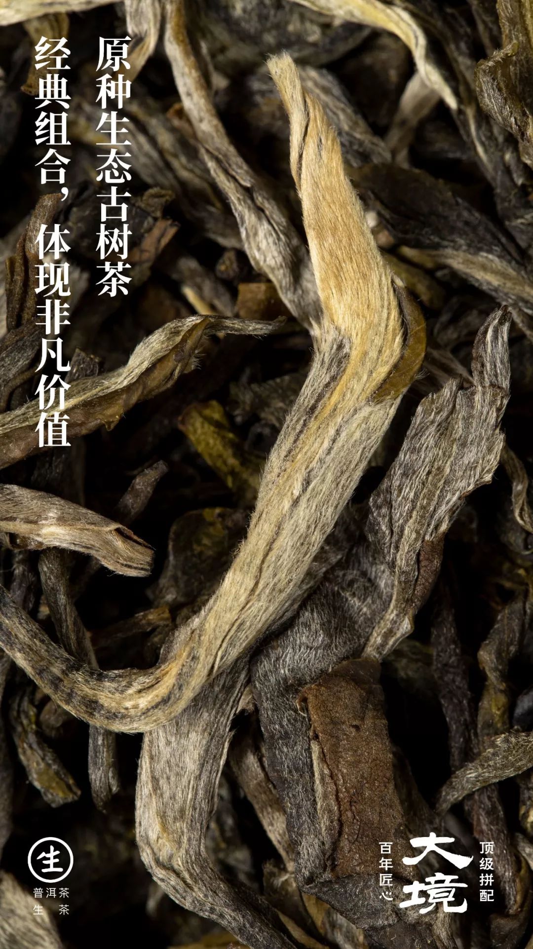 大境之美茶叶图片