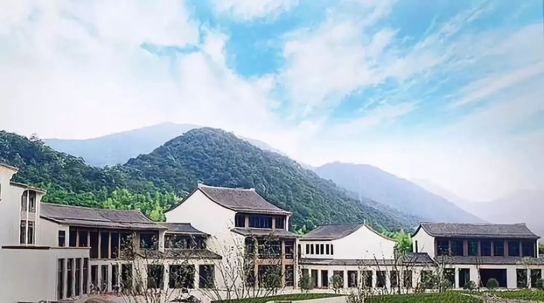 长兴县中国扬子鳄村图影湿地文化园金钉子景区仙山湖景区水口茶文化