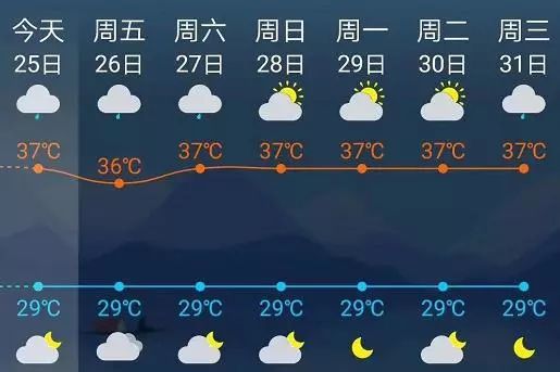 狗帶上海未來5天氣溫拉直線了我選擇和它一起去世